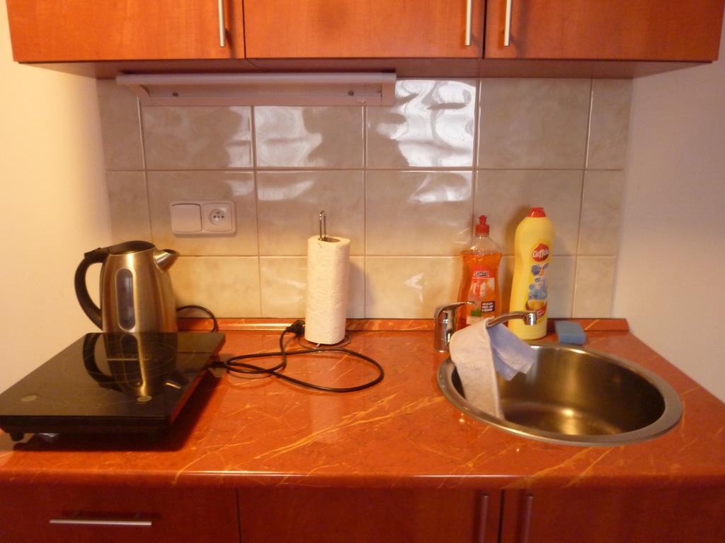 Apartment Karlovy Vary Bilik gambar
